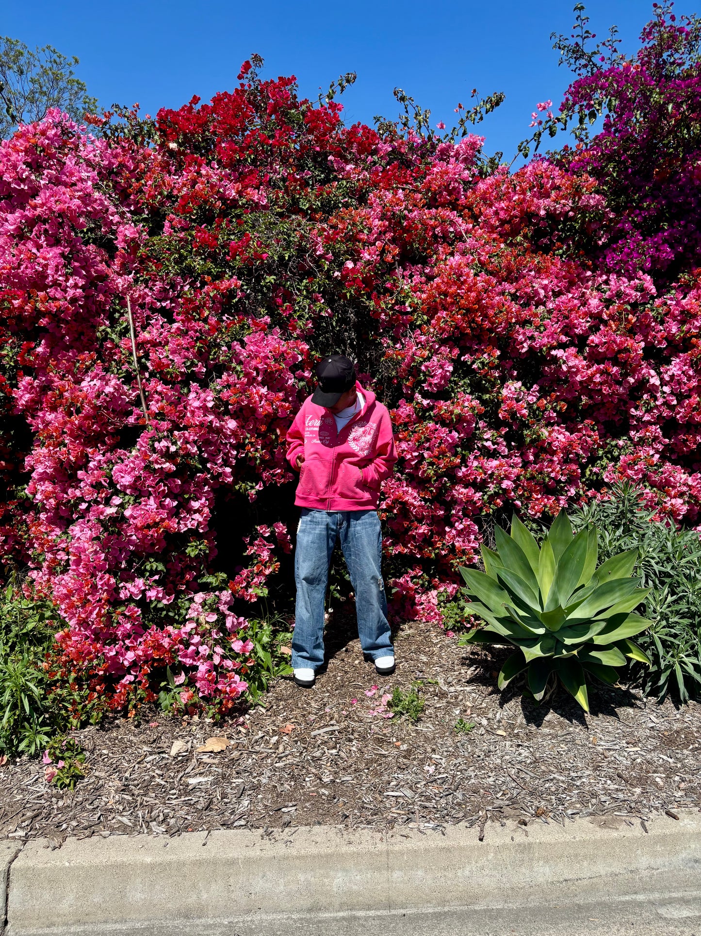 pink aeri zip up