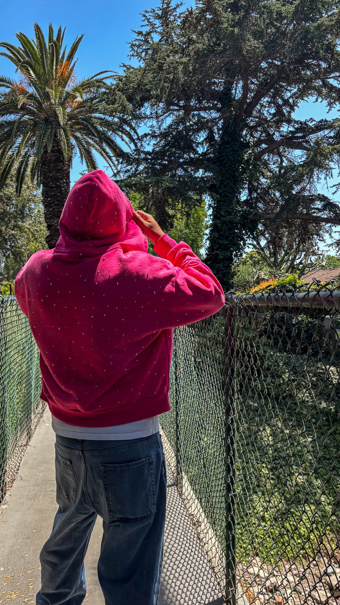 pink aeri zip up