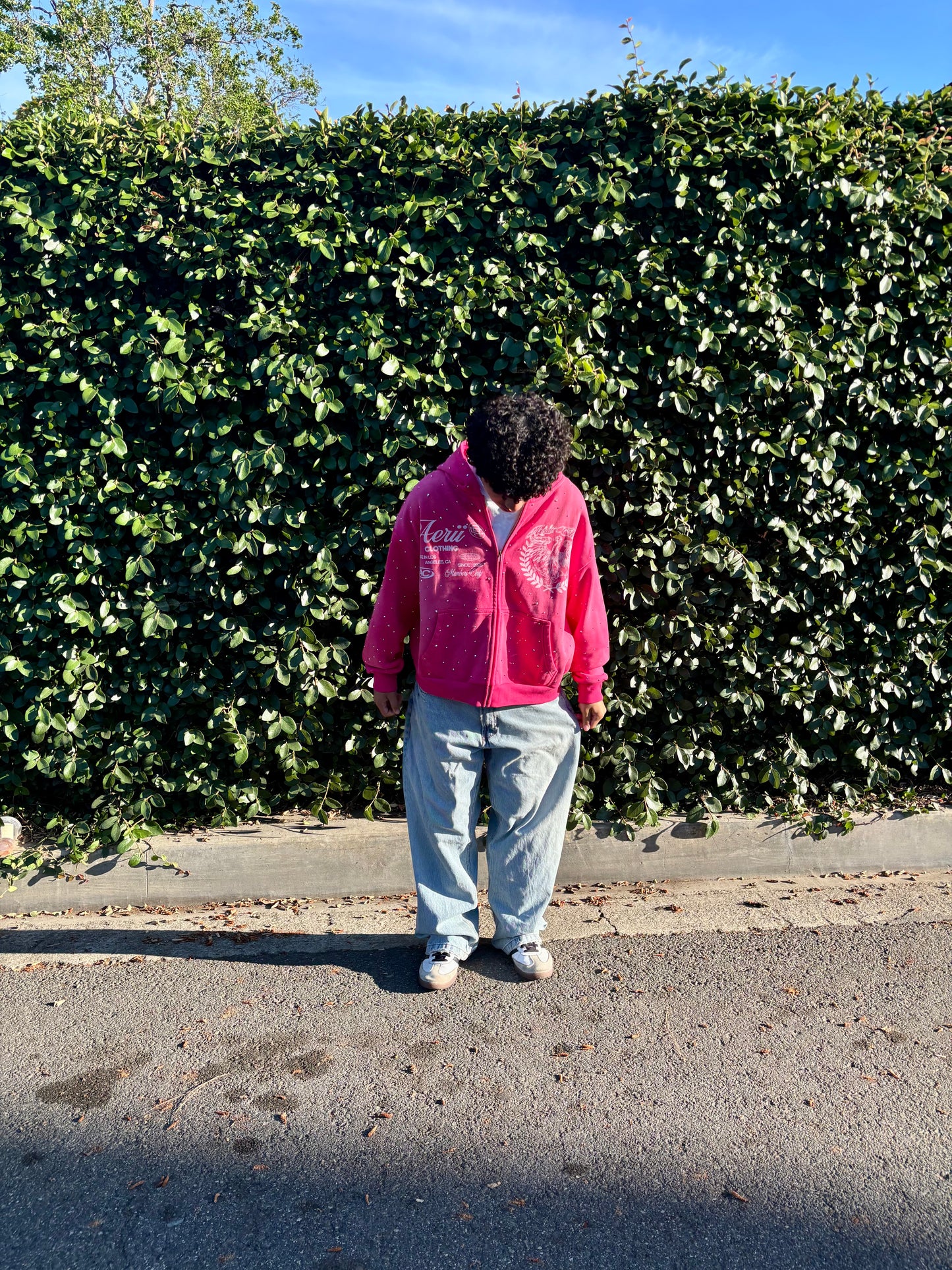 pink aeri zip up